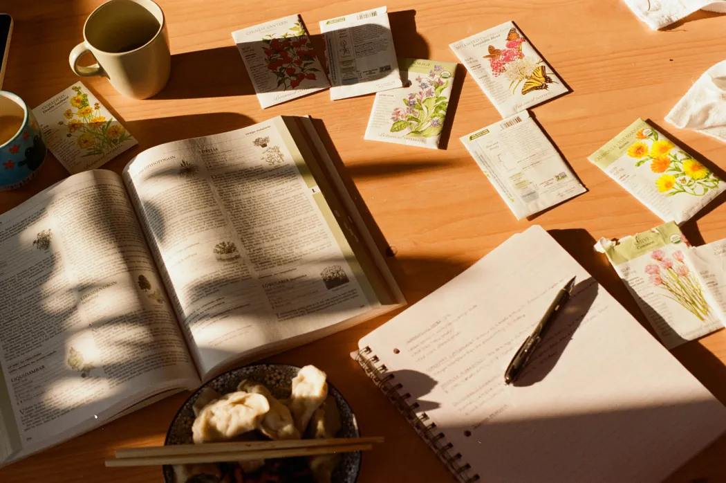 Seeds studying